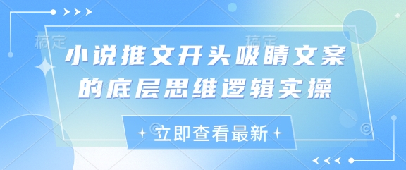 小说集推文开头引人注意文案的思维模式逻辑性实际操作-沐颜网创资源