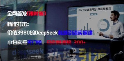 精确化：使用价值3980的DeepSeek私域引流实操课，新手实际操作零门槛，日引精准粉300-沐颜网创资源