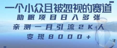 一个被严重低估的赛道，卖助睡眠实例教程日入三位数之上-沐颜网创资源