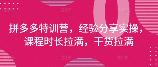 拼多多平台夏令营，心得分享实际操作，课程内容时间打满，干货知识打满(升级25年4月)-沐颜网创资源