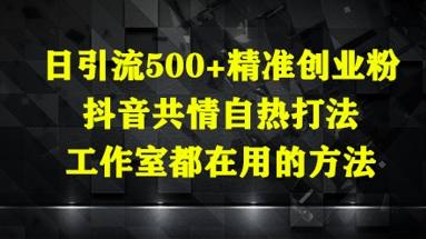 日引流方法500 精确自主创业粉，抖音视频同理心自然玩法，个人工作室都在用的方式-沐颜网创资源