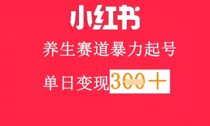 小红书的健康养生跑道，暴力行为养号，轻轻松松日入3张-沐颜网创资源