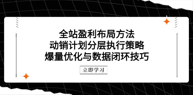 整站赢利合理布局方式：促销方案分层次执行策略，爆量优化与数据闭环方法-沐颜网创资源
