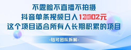 不露脸不直播不拍照抖音视频一条短视频日入1k 这样的项目适合所有人长期积累的新项目-沐颜网创资源