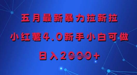 五月全新暴力行为引流拉，小红书4.0新手入门能做，日入好几张-沐颜网创资源