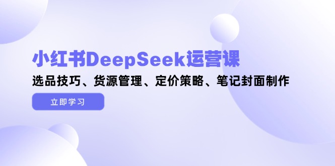 小红书的DeepSeek运营课，选款方法、一手货源管理方法、价格策略、手记封面设计-沐颜网创资源