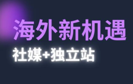 2025出航机遇与挑战(社交媒体 自建站)，国外机遇与挑战，完成独立站的高效管理与出航-沐颜网创资源