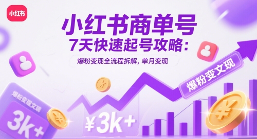 小红书的商单号7天迅速养号攻略大全：涨粉转现全过程拆卸，单月转现3k-沐颜网创资源