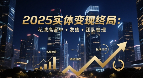 2025实体线转现终结：公域高客单 开售 团队协作-沐颜网创资源