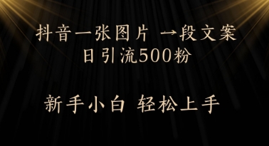 每日2min，抖音一张照片 一段创意文案日引流方法500粉-沐颜网创资源