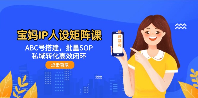 宝妈妈IP人物关系引流矩阵课：ABC号构建，大批量SOP，私域转化高效率闭环控制-沐颜网创资源