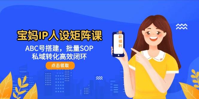 宝妈妈IP人物关系引流矩阵课：ABC号构建，大批量SOP，私域转化高效率闭环控制-沐颜网创资源