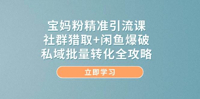 宝妈粉精准引流方法课，社群营销捕获 闲鱼平台工程爆破，公域大批量转换攻略大全-沐颜网创资源