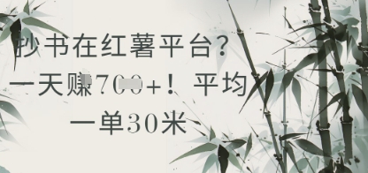 抄写在小红书服务平台？平均一单30米，一天盈利多张！-沐颜网创资源