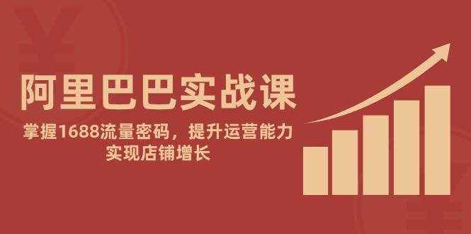 阿里巴巴实战课：掌握1688流量密码，提升运营能力，实现店铺增长-沐颜网创资源