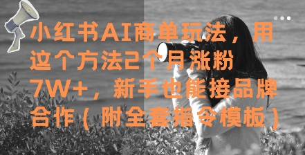小红书的AI商单游戏玩法，用这种方法2个月增粉7W ，初学者也能接品牌合作(附整套命令模版)-沐颜网创资源