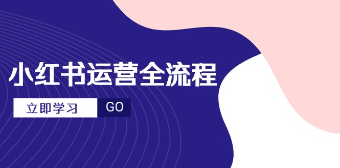 小红书运营全过程，爆品论文选题创意文案，短视频制作步骤，升阶大咖秘笈-沐颜网创资源
