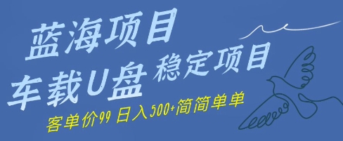 蓝海项目车载式U盘平稳新项目，赚的便是信息不对称，客单量99，日入多张很简单-沐颜网创资源