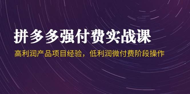 拼多多强付费实战课-44期，高利润产品项目经验，低利润微付费阶段操作-沐颜网创资源