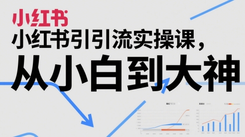 小红书引流实操课，从小白到高手-沐颜网创资源