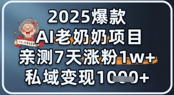 2025爆品 AI 老太太新项目：亲自测试 7 天增粉 1W ，私域变现 1k-沐颜网创资源