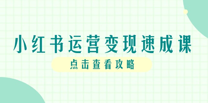 小红书运营转现速成课，账户构建到暴力行为养号，本人IP全过程手册-沐颜网创资源