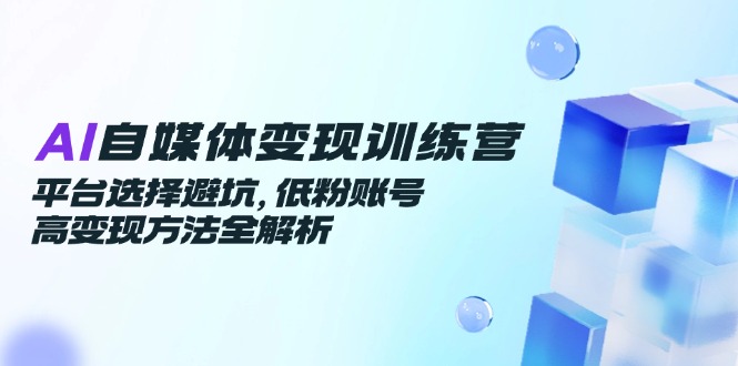 AI自媒体变现训练营，平台选择避坑，低粉账号高变现方法全解析-沐颜网创资源