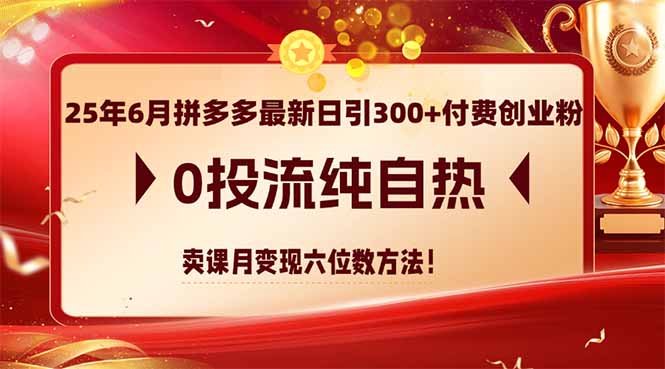 25年6月拼多多最新日引300 付钱自主创业粉，0投流纯自然 购买课程月转现六位数方式-沐颜网创资源