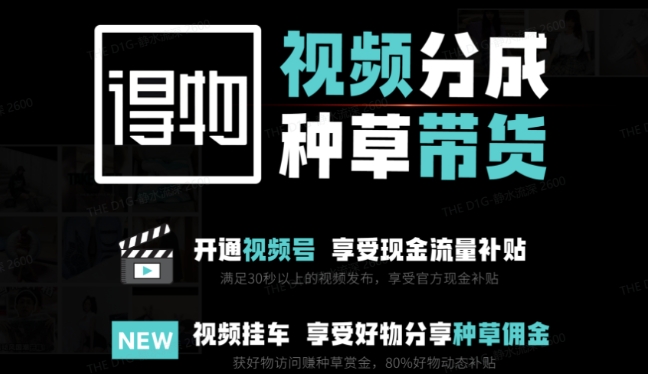 外边卖去1980得物双通道内存游戏玩法新项目拆卸，3-7天一个养号周期时间，每月最低有3k – 5k【揭密】-沐颜网创资源