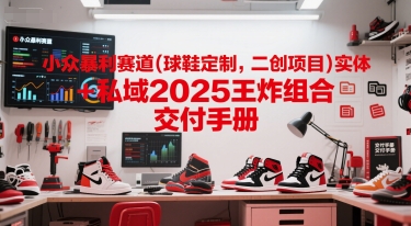 小众暴利赛道(球鞋定制，二创项目)实体+私域2025王炸组合  交付手册-沐颜网创资源