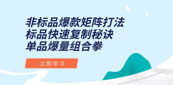 非标品爆款矩阵打法，标品快速复制秘诀，单品爆量组合拳-沐颜网创资源
