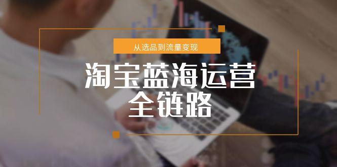 淘宝蓝海运营全链路，从选品到流量变现，小类目突围完整方案-沐颜网创资源