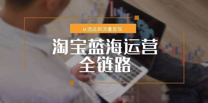 淘宝蓝海运营全链路，从选品到流量变现，小类目突围完整方案-沐颜网创资源