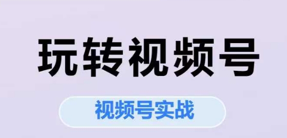 玩转视频号，视频号实战系列课-沐颜网创资源