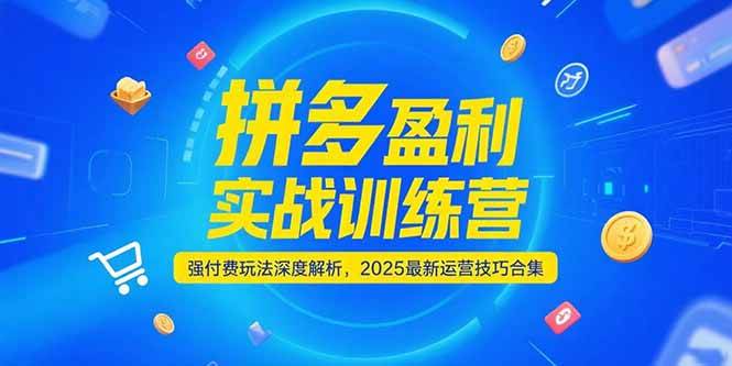 拼多多盈利实战训练营，强付费玩法深度解析，2025最新运营技巧合集-沐颜网创资源