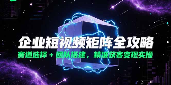企业短视频矩阵全攻略，赛道选择+团队搭建，精准获客变现实操-沐颜网创资源