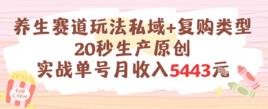 养生赛道玩法私域+复购类型，20秒生产原创实战单号月收入5k+-沐颜网创资源