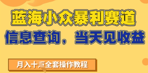 蓝海小众暴利赛道，信息查询，当天见收益，不讲玄学，7天搞了2W+-沐颜网创资源