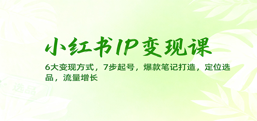 小红书IP变现课：6大变现方式，7步起号，爆款笔记打造，定位选品，流量增长-沐颜网创资源